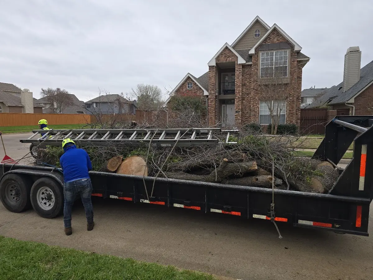 Expert Tree Pest Control with proper safety equipment in Roseland